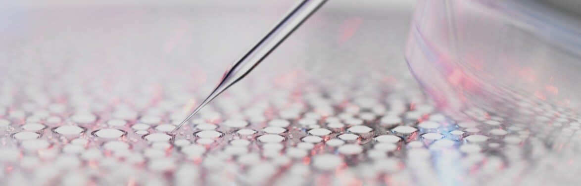 Descubre nuestro enfoque científico único: la ecobiología.